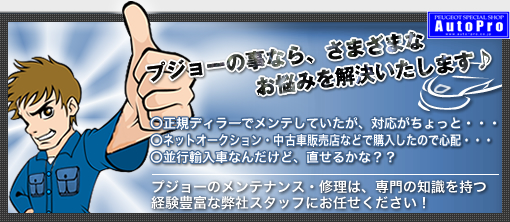 プジョーのメンテナンス・修理は専門の知識を持つ経験豊富な弊社スタッフにお任せ下さい!